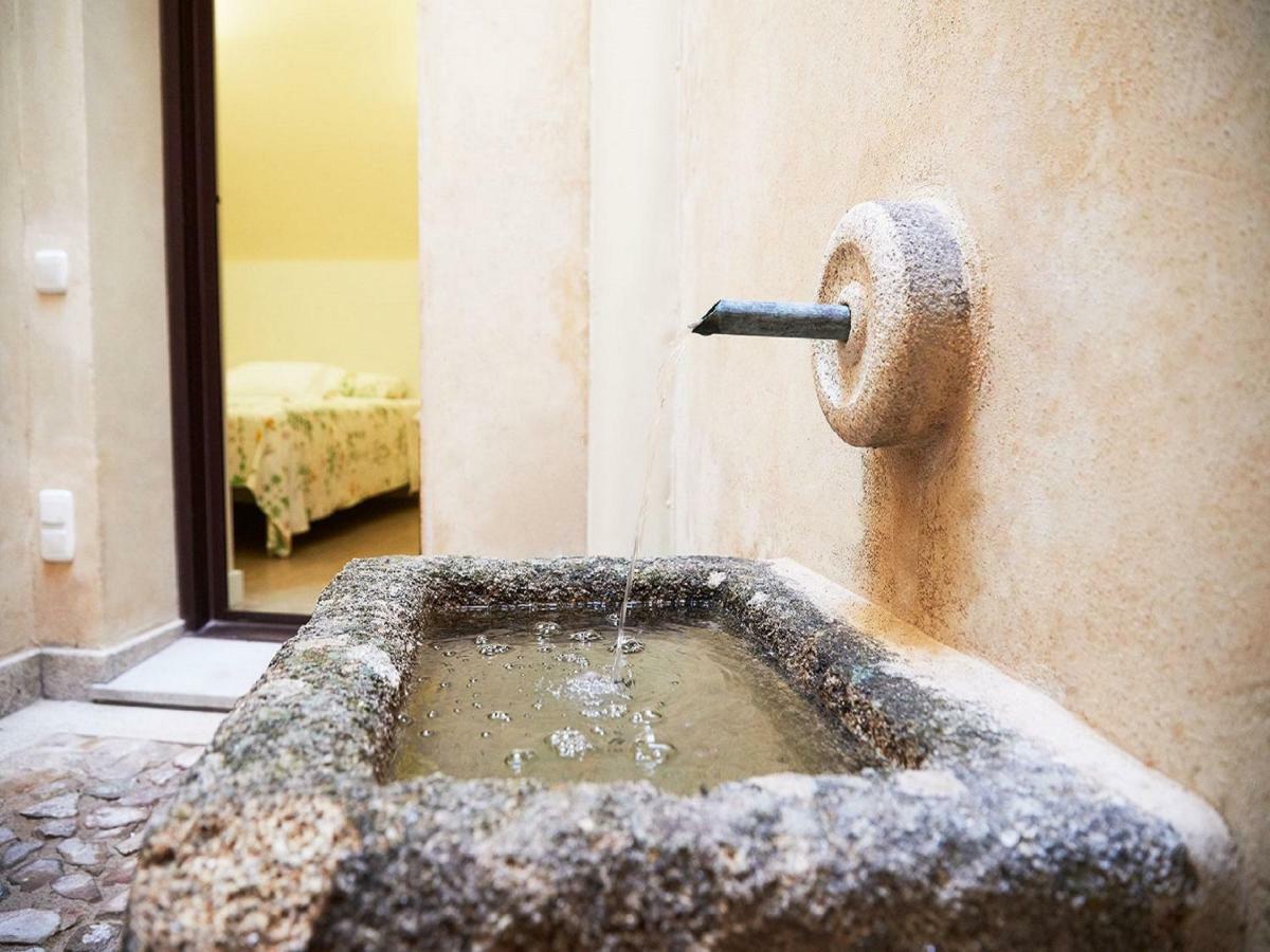 Apartamentos San Pablo Caces Dış mekan fotoğraf